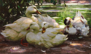 Alexander Koester - Enten am Ufer.webp