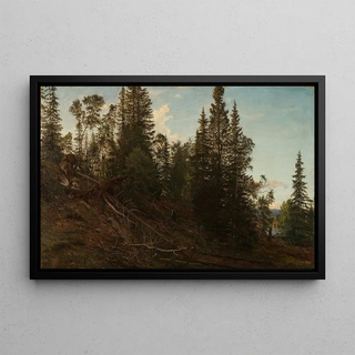 Amaldus Nielsen - Vingersheia Telemark.webp