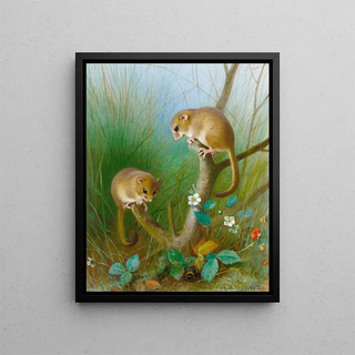 Archibald Thorburn - Dormice.webp