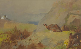 Archibald Thorburn - Study for Grouse on the Moor.webp