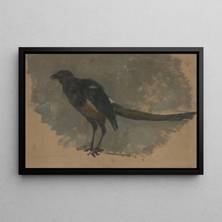 August Alleb - Studie van een ekster.webp