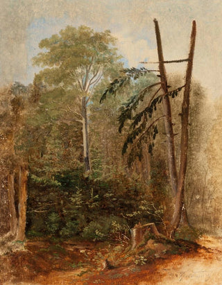 Carl Spitzweg - Study of a Woodland Landscape.webp