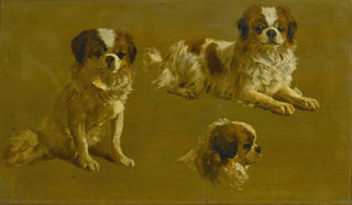 Circle of Maud Earl - Study Of A King Charles Spaniel.webp