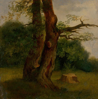 Étude d'un arbre feuillu - Jozef Boetech Klemens