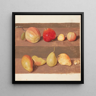 Étude de fleurs et de fruits - Johanna Fosie