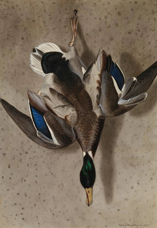 Ferdinand von Wright - Hanging Mallard.webp