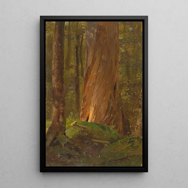 Studie in de bossen van Maine - Frederic Edwin Church — ingelijst kunstwerk aan de muur