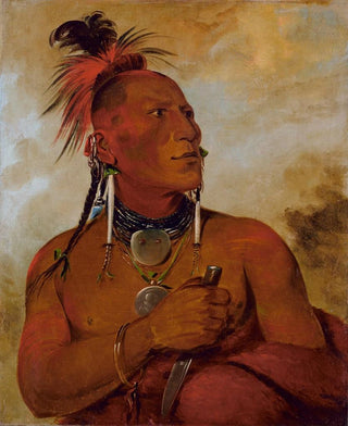 George Catlin - MeachOShnGaw Little White Bear a Distinguished Brave.webp
