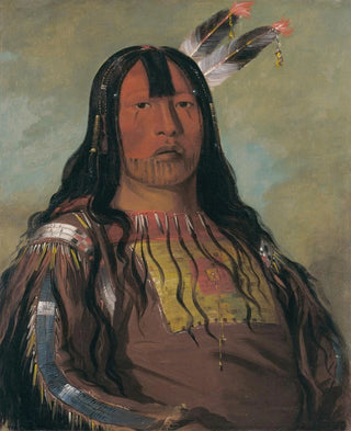 George Catlin - MixKeMteSkinNa Iron Horn a Warrior.webp