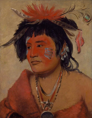 George Catlin - PahSheeNuShaw a Warrior.webp
