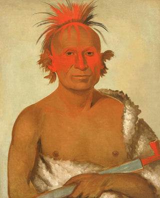 George Catlin - Pasheepah Little Stabbing Chief the Younger One of Black Hawks Braves.webp