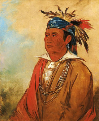 George Catlin - WahPnJeeA The Swan a Warrior.webp