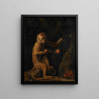 George Stubbs - A Monkey.webp