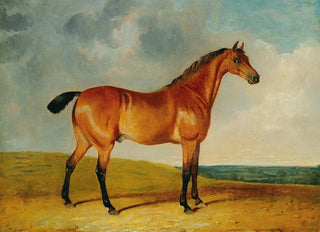 John Frederick Herring Jr - A bay horse in a vast landscape.webp