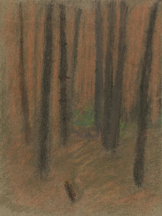 Ladislav Mednynszky - Forest.webp