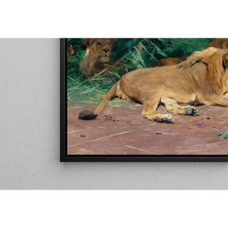 Lions au repos - Wilhelm Kuhnert | Reproduction Tableau Décoration murale affiche copie