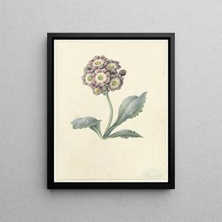 Maria Margaretha van Os - Bloemenstudie.webp