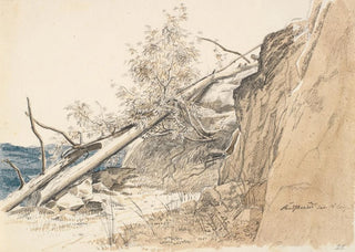 Martinus Rrbye - Tree Trunk Leaning Against a Rock Norway.webp