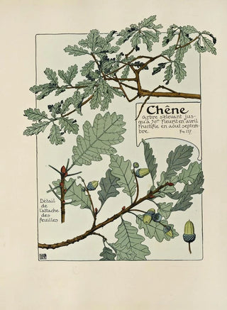 Maurice Pillard Verneuil - Chene.webp