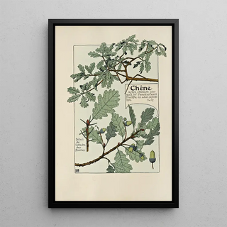 Maurice Pillard Verneuil - Chene.webp