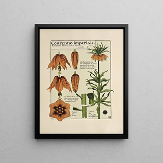 Maurice Pillard Verneuil - Couronne Imperiale.webp