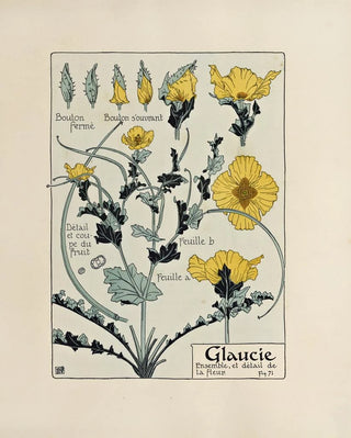 Maurice Pillard Verneuil - Glaucie.webp