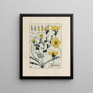 Maurice Pillard Verneuil - Glaucie.webp