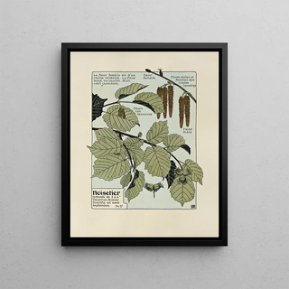 Maurice Pillard Verneuil - Noisetier.webp