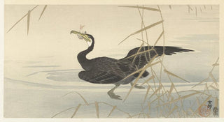 Ohara Koson - Cormorant with fish.webp