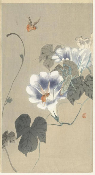 Ohara Koson - Insects at bindweed.webp