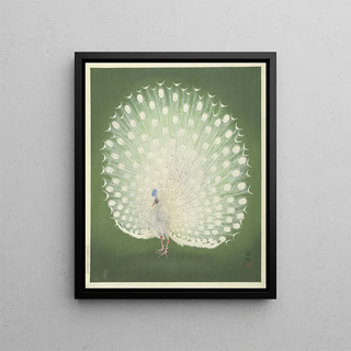 Ohara Koson - Peacock.webp