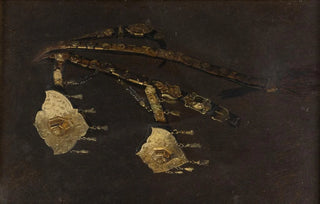 Stanisaw von Chlebowski - Study of a Fragment of the Turkish Horse Bit from the 17th C.webp