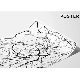 Black and White Design Poster - Wild Entanglement