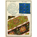 Reproductie van het schilderij Estampes chinoises pl6 - A F Stoddard Company