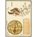 Reproductie van het schilderij Estampes chinoises pl90 - A F Stoddard Company