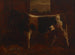 Een bekroonde stier - Abbott Handerson Thayer — weergave van het kunstwerk
