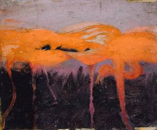 Studie van roze flamingo's voor het boek Camouflage in het dierenrijk - Abbott Handerson Thayer — weergave van het kunstwerk