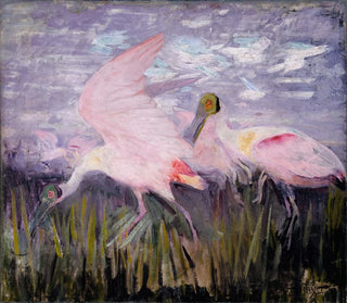 Studie van roze spatels voor het boek Camouflage in het dierenrijk - Abbott Handerson Thayer — weergave van het kunstwerk
