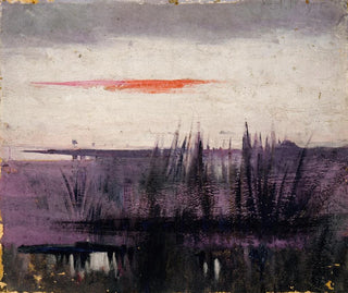 L'étude du ciel simulé par des flamants roses pour le livre sur la coloration dans le règne animal - Abbott Handerson Thayer — weergave van het kunstwerk