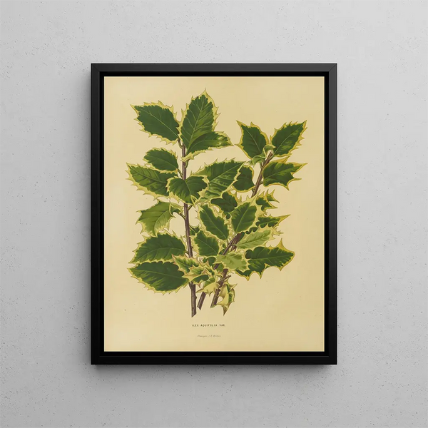Abraham Jacobus Wendel - Nederlandsche flora en pomona Pl18.webp
