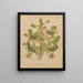 Flore hollandaise et Pomone PL78 - Abraham Jacobus Wendel — framed artwork on a wall