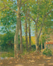 Landschap met grote bomen - Achille Laugé — weergave van het kunstwerk