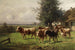 Troupeau de vaches près de Dachau - Adolf Chelius — weergave van het kunstwerk