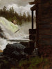Een waterval - Adolph Tidemand — weergave van het kunstwerk