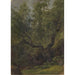 Reproductie van het schilderij Studie van het bos van Numedal - Adolph Tidemand