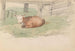 Veau Couché - Adolph Tidemand — weergave van het kunstwerk