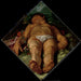 Adonis mourant - Hendrick Goltzius — artwork view