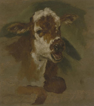 Adriaen van de Velde - Cattle head.webp