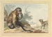 van een aap zittend op een rots die naar een civet kijkt - Aert Schouman — weergave van het kunstwerk