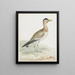 van een kraanvogel met grote hoorns - Aert Schouman — ingelijst kunstwerk aan de muur